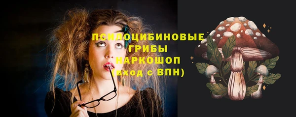 а пвп мука Ельня