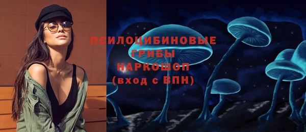 а пвп мука Ельня