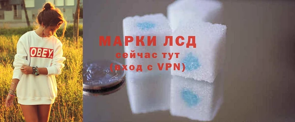 гашик Елизово