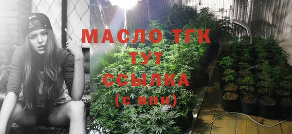 гашик Елизово