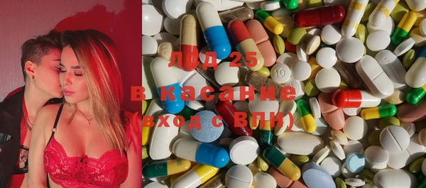 гашик Елизово