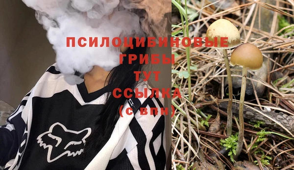а пвп мука Ельня